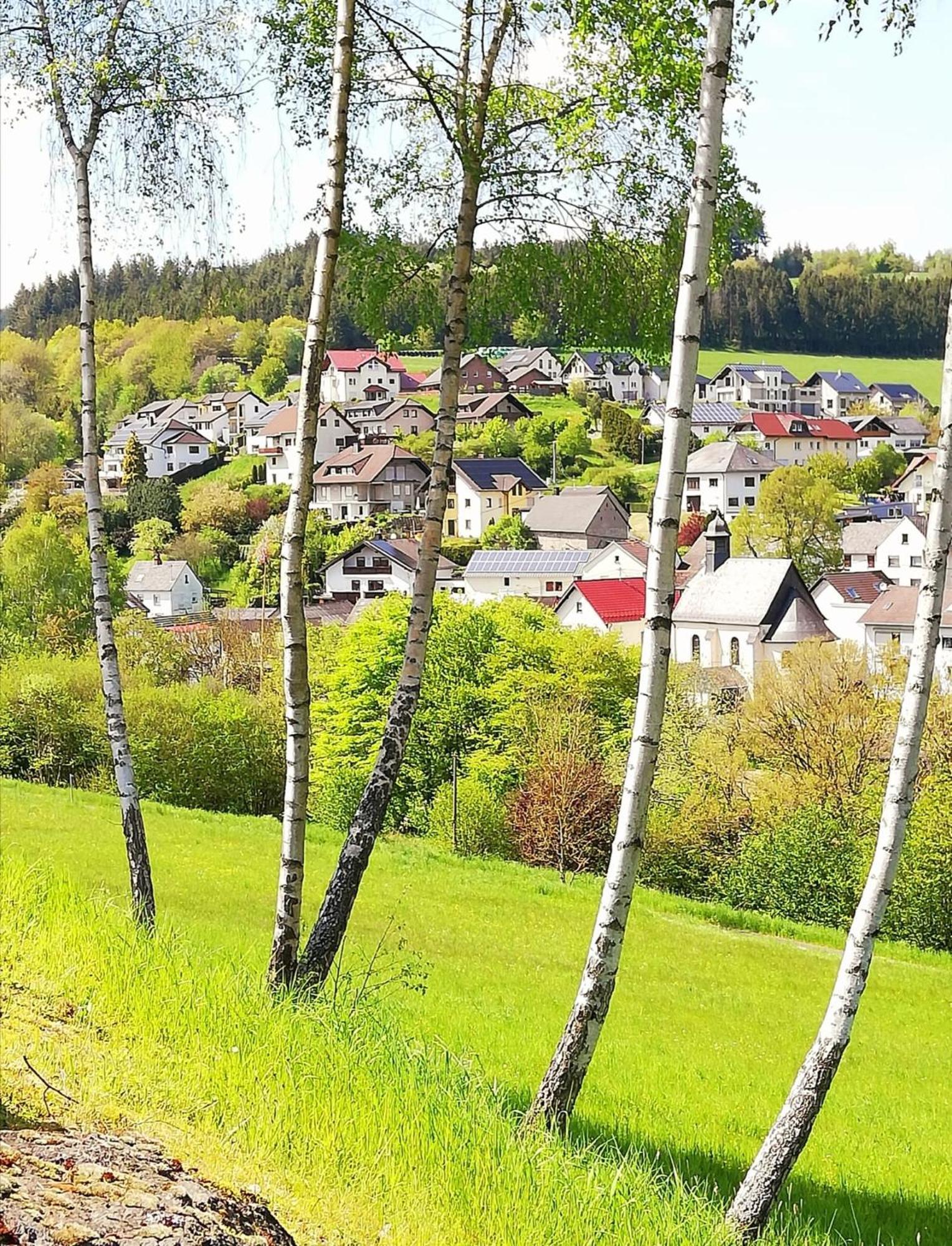 Am Lindenbaum, Ferienwohnung In Siebenbach Am Nuerburgring Extérieur photo